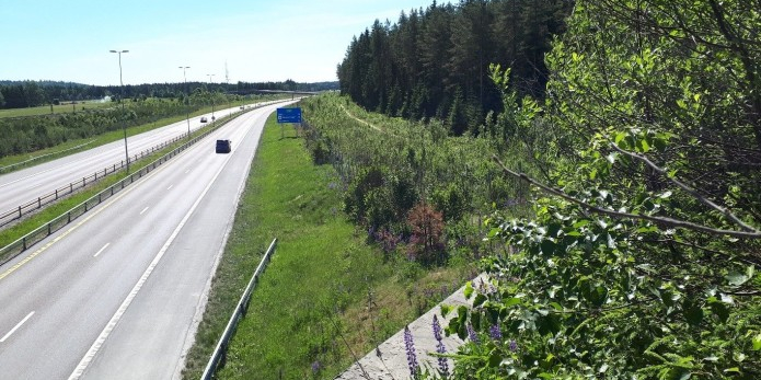 NINAs høringsinnspill til Nasjonal transportplan